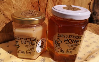 HONEY BEE-nefits
